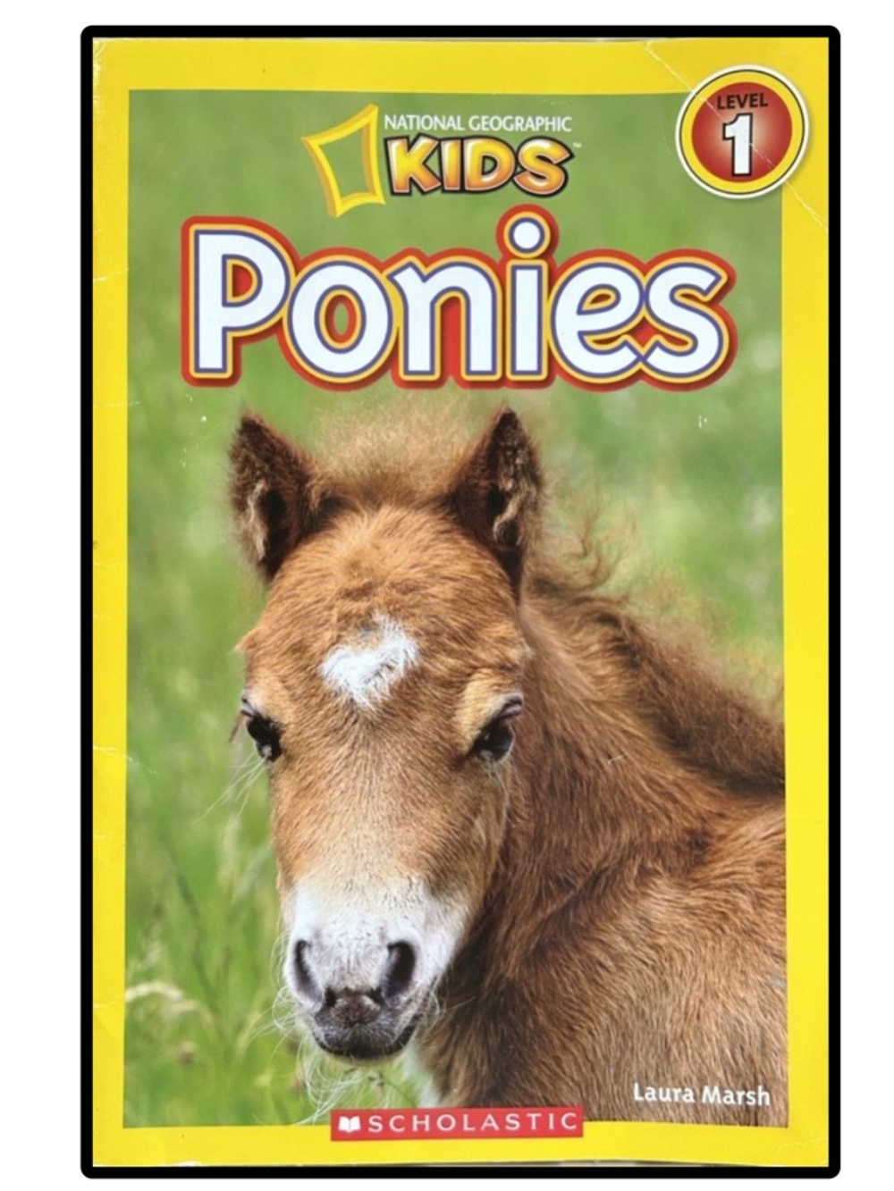 BUNDLE & SAVE🎉 National Geographic Ponies Book